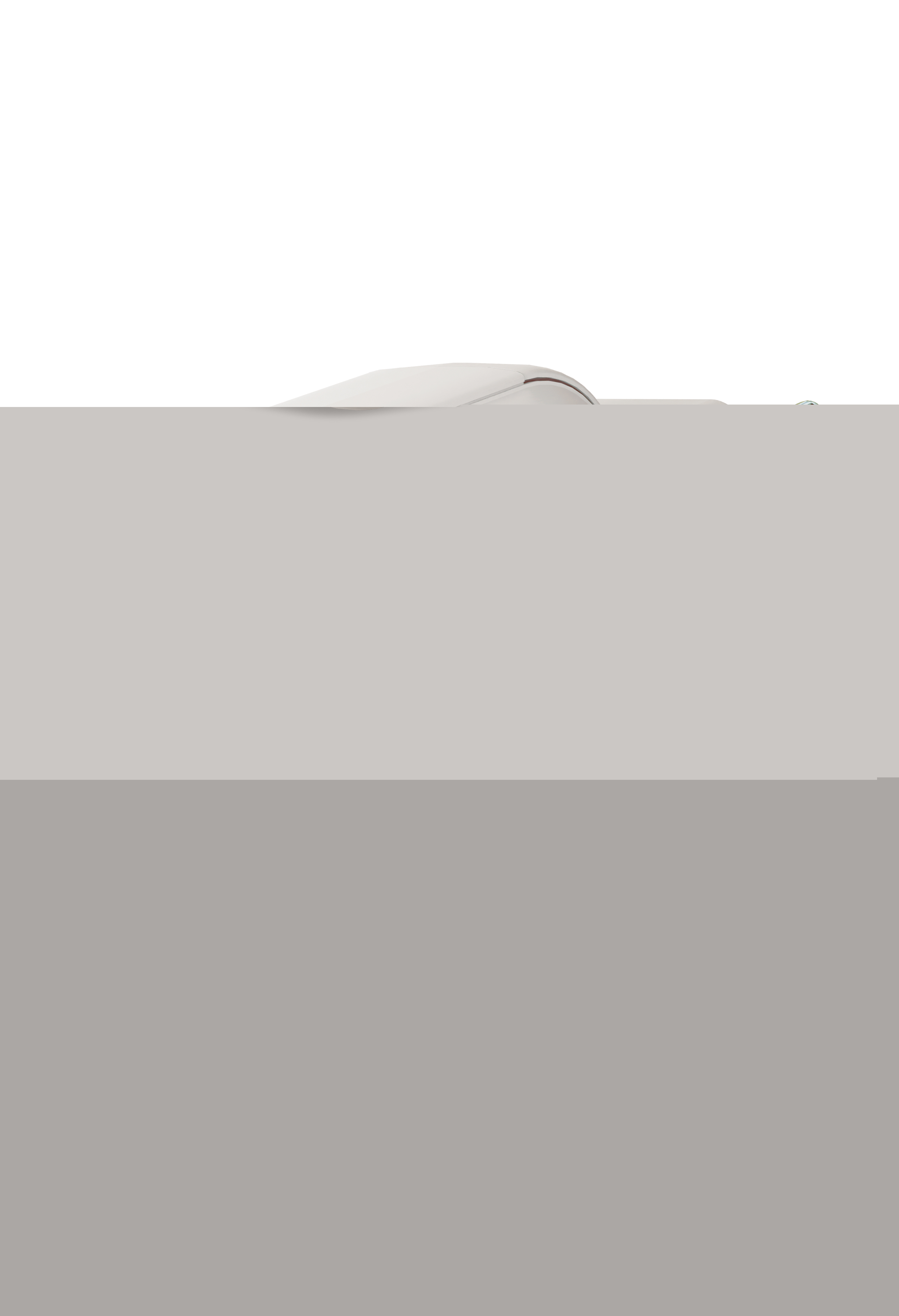 1073003_3 1073003_3